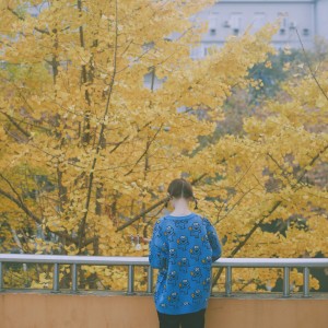 收聽陳雪凝的回憶見歌詞歌曲