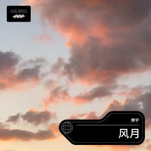 Listen to 风月 (完整版) song with lyrics from 黄宇