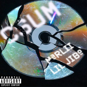 Album C Sum (Explicit) from Marlii