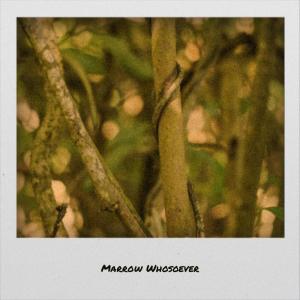 Listen to Marrow Whosoever song with lyrics from Dalmer Mhle