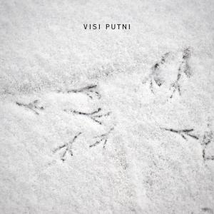 收聽Markuss的visi putni歌詞歌曲