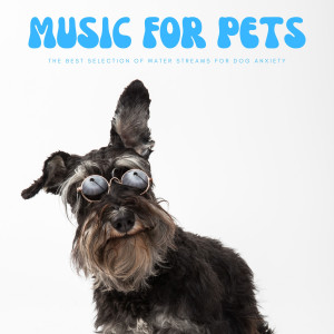 อัลบัม Music For Pets: The Best Selection Of Water Streams For Dog Anxiety ศิลปิน Fashionable Doggy Music