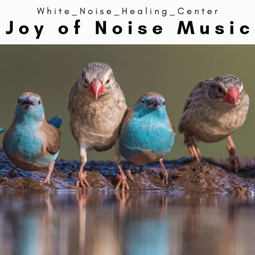 Stream of Noise Noises for Hard REM