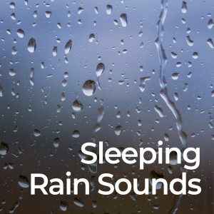 อัลบัม Sleeping Rain Sounds ศิลปิน Regen zum Schlafen