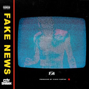 收聽City Shawn的Fake News (Explicit)歌詞歌曲