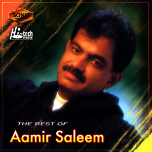 收聽Aamir Saleem的Humsafar歌詞歌曲