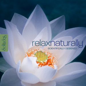 ดาวน์โหลดและฟังเพลง Drifting into Peace พร้อมเนื้อเพลงจาก Dan Gibson's Solitudes