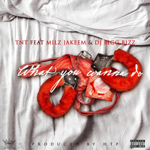 ดาวน์โหลดและฟังเพลง What You Wanna Do (feat. Milz Jakeem & DJ Bigg Bizz) (Explicit) พร้อมเนื้อเพลงจาก TNT