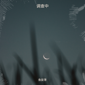Listen to 调查中 (cover: 周深|CORSAK胡梦周) (完整版) song with lyrics from 鱼妄淂