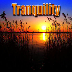ดาวน์โหลดและฟังเพลง Restful Shower Nature Sound for Yoga Meditation and Deep Sleep พร้อมเนื้อเพลงจาก Best Nature Sounds