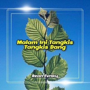 Dengarkan Malam Ini Tangkis Tangkis Dang lagu dari Rean Fvnky dengan lirik