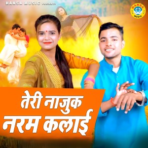 Listen to Teri Najuk Naram Kalai song with lyrics from Sunil Chauhan
