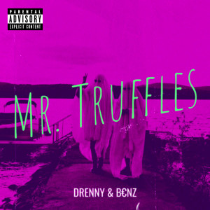 Listen to Mr. Truffles (Explicit) song with lyrics from Drenny