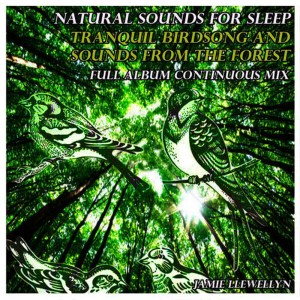 Jamie Llewellyn的專輯Natural Sounds for Sleep: Tranquil Birdsong and Sounds from the Forest