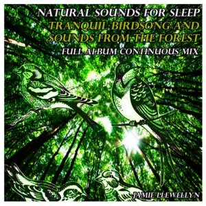收聽Jamie Llewellyn的Sounds of Nature for Sleep: Gentle River with Relaxation Music歌詞歌曲