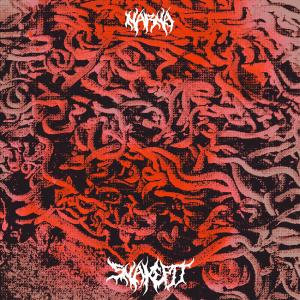 ดาวน์โหลดและฟังเพลง Snakepit พร้อมเนื้อเพลงจาก Narna