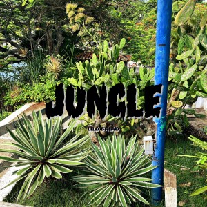 ดาวน์โหลดและฟังเพลง Jungle พร้อมเนื้อเพลงจาก Lilo Balão