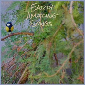 Listen to Carousel Travel song with lyrics from Raton Dman