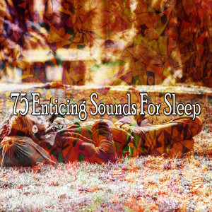 Listen to Prescripted Nights Rest song with lyrics from SPA