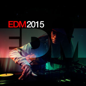 ดาวน์โหลดและฟังเพลง To Remember พร้อมเนื้อเพลงจาก EDM 2015