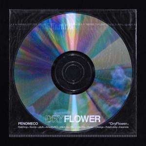 Dry Flower dari Penomeco