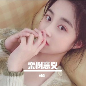 收听司南的栾树意义 (Single Version)歌词歌曲