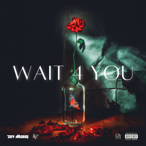 Listen to Wait for You (Radio Edit) song with lyrics from Zey_Musiq