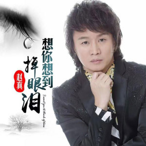 Listen to 想你想到掉眼泪 (伴奏) song with lyrics from 赵真