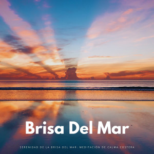 Olas del Mar的專輯Serenidad De La Brisa Del Mar: Meditación De Calma Costera