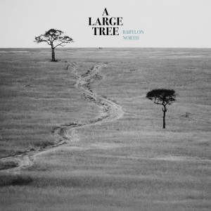 Babylon North的專輯A Large Tree