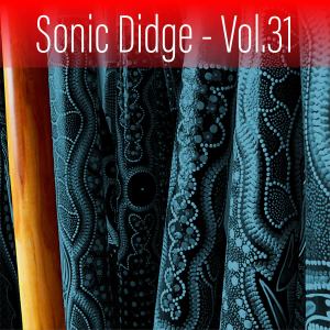 Album Sonic Didge, Vol. 31 from Gene Pierson