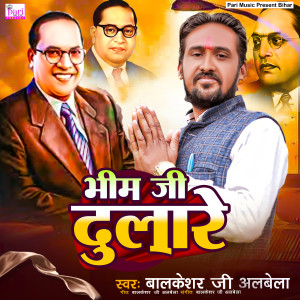 Album Bhim Ji Dulare from 