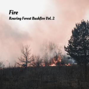 Fire: Roaring Forest Bushfire Vol. 2