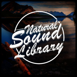 收聽Sound Library XL的Streams Flow歌詞歌曲