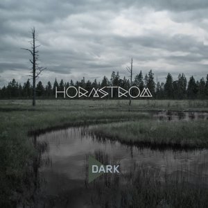 收聽Hornstrom的Dark歌詞歌曲