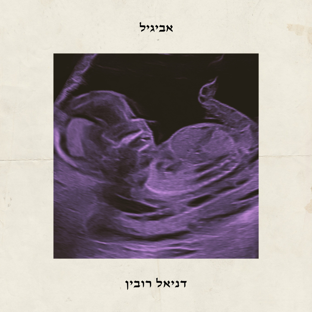 אביגיל