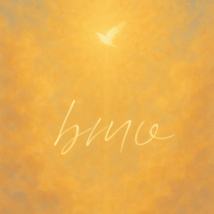 Album 바래요 from HOZIHO