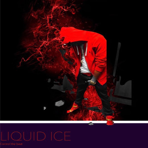 LiquidIce的专辑Control the Beat