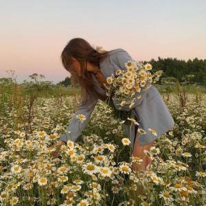 ดาวน์โหลดและฟังเพลง roslyn พร้อมเนื้อเพลงจาก sped up viral audios