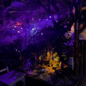 ดาวน์โหลดและฟังเพลง Ice พร้อมเนื้อเพลงจาก Önigirisu