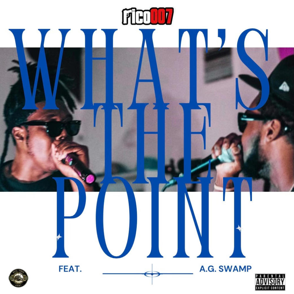 What's The Point (feat. A.G. SWAMP) (Explicit)