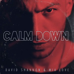 收聽David Shannon的Calm Down歌詞歌曲