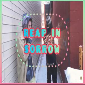 收听Lil Terp的Reap In Sorrow (Explicit)歌词歌曲
