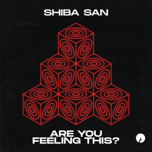 Listen to Stay Focused song with lyrics from Shiba San
