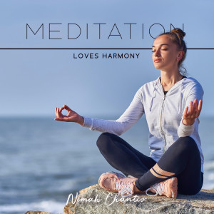 Meditation Loves Harmony