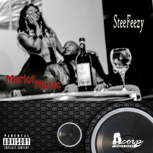 ดาวน์โหลดและฟังเพลง Who (Explicit) พร้อมเนื้อเพลงจาก Stee Feezy