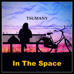 Listen to Interstellar song with lyrics from Tsunamy