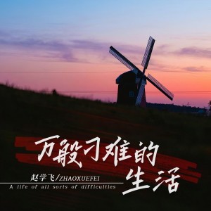 Album 万般刁难的生活 from 赵学飞