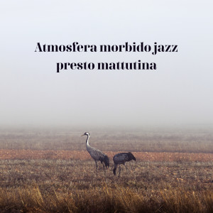 Listen to È ora di cucinare la colazione song with lyrics from Glorious Music Academy