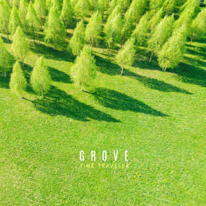 Album Grove oleh Time Traveler